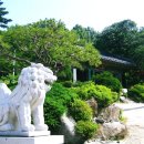 통일기원 미륵대불 이미지