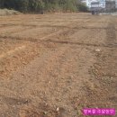 만진농장 이미지