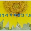 위드유 행정사 사무소 이미지