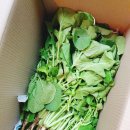 완정농장 이미지