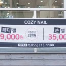 COZY(코지)네일