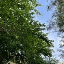 망원새싹어린이공원 이미지