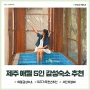 제주도 애월 5명 감성숙소 샤인히얼60 가족펜션으로 딱!