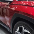 루페스 빅풋디테일링센터 대전점 이미지