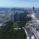 하천섬(솔밭) 이미지