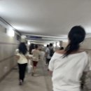 노벨라 별둘 | 여름 이탈리아에 가다.(2)-피렌체친퀘테레피사 편