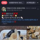 인영수산 이미지
