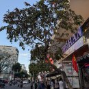 오일시장(축협하나로마트) | 다낭 한시장 시간 쇼핑 추천 끄록스 여기는 정찰제 삐빅