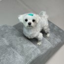 골안 | 강아지계단추천 슬개골안좋다면 침대 60CM 애견계단 두기