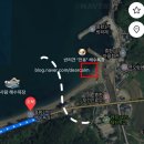 백석1리 간이해수욕장 | [포항/남구] 반려동물해수욕장 포항흥환해수욕장 애견동반 솔직 후기 재방문 예정