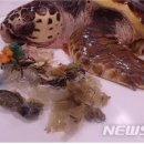 거북축산 이미지