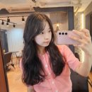 더 크라운 헤어 이미지
