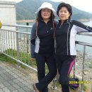 승주체육관 이미지