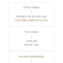 마마포레스트 이미지
