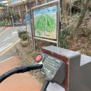 향교 | 관악산 등산｜연주대 코스 난이도, 과천향교 하산 (3월 초 후기)