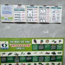 서원생고기 | 청주서원구맛집 쌈채소 종류가 다양한 제주생고기