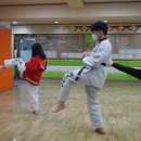 해빛태권도장 이미지