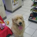 달리는 편의점 이미지