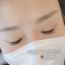 상패어린이집 | 새솔동 속눈썹 연장 맛집 : 엘라뷰티에서 속눈썹 연장했어요🥰