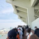 209 | 잠실야구장 직관 후기 : 314블럭 209블럭 시야 / 통밥 삼겹살 김말국 / 픽베이크 에그타르트