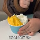 광안리 드론쇼 보기 전 아이랑 아이스크림 맛집 젤라또조이 내돈내산 방문 후기