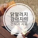 견생일기 이미지