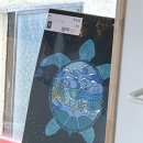 제주도동쪽서핑 초보 강습 추천 제이크서프 성산 패들보드 렌탈 서핑 용어