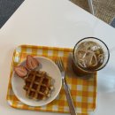 아비앙또아뜰리에라탄 | 아비앙또 아뜰리에_라탄원데이클래스 후기