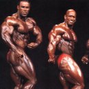 숀 휘트니스 이미지