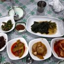 송가네 오리 이미지