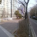 알마스터