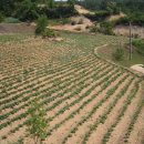 가음농장 이미지