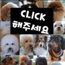 크롱크롱스토어 이미지