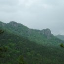 호랑이굴총본산