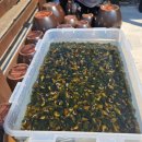 뚝딱이네 STAY 이미지