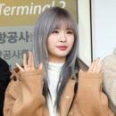네이처루