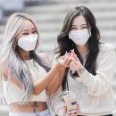 다솜연예기획 이미지