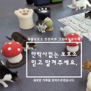 동물보육원 고양이 후원 카페 이미지