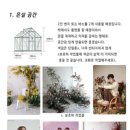 보로하 이미지