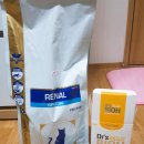 땡큐동물병원 이미지