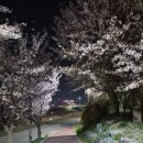 용곡2길 | 신방동 고기 믿고 가는 생갈비살 맛집 소플러스 용곡점