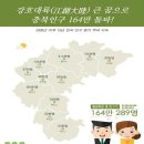 충북 노컷뉴스