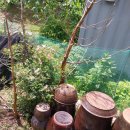 싸리재펜션 이미지