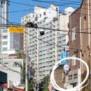 태리_도테라