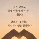 주거니받거니 Daum카페