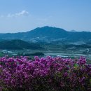 운봉의뜰 이미지