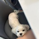 수원-0825 | 2024 08월 &#34;땅은 하늘이 되고 지구가 달을 돌고&#34;