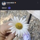 푸르릇 이미지