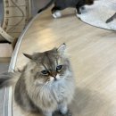 (주)집사의 하루 이미지