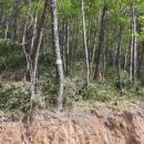 한성탑행정사 합동사무소 이미지